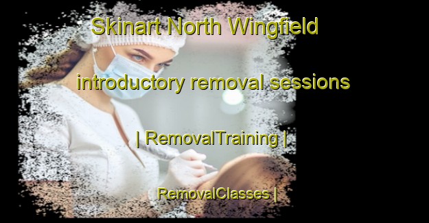 Skinart North Wingfield introductory removal sessions | RemovalTraining | RemovalClasses | SkinartTraining-United Kingdom